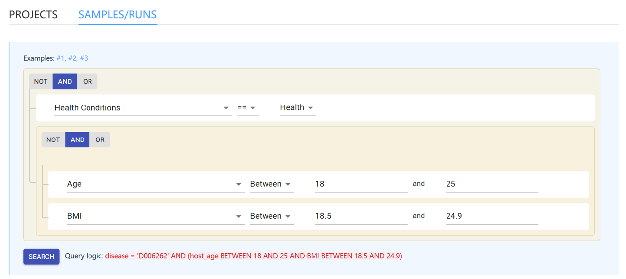 Query builder example